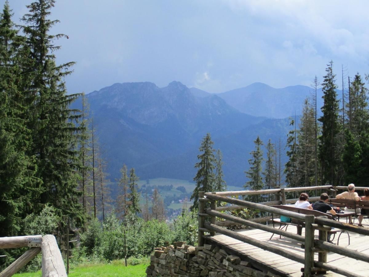 Проживание в семье Rancho Зомб